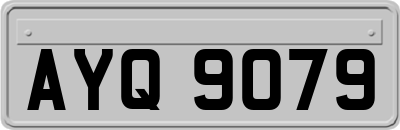 AYQ9079