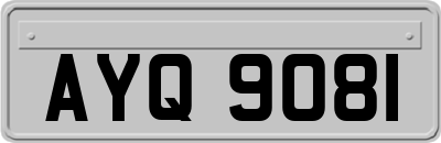 AYQ9081