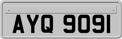 AYQ9091