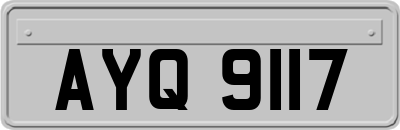 AYQ9117