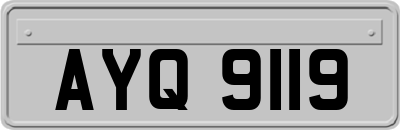 AYQ9119