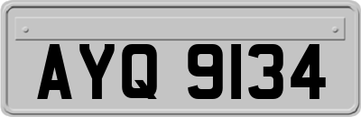AYQ9134