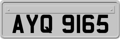 AYQ9165