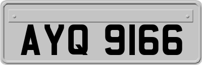 AYQ9166