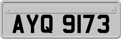 AYQ9173