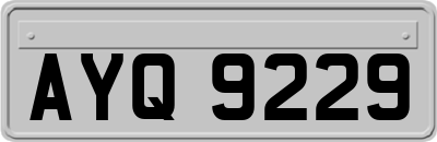 AYQ9229