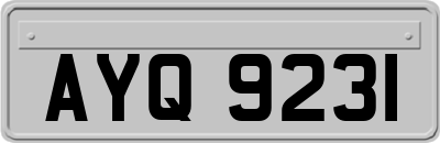 AYQ9231