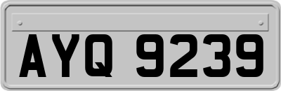AYQ9239