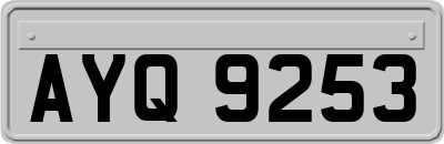 AYQ9253