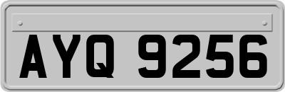AYQ9256