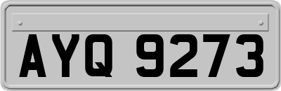AYQ9273