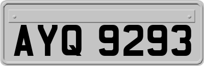 AYQ9293