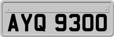 AYQ9300