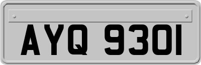 AYQ9301