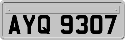 AYQ9307