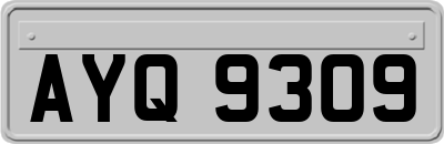AYQ9309