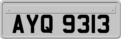AYQ9313