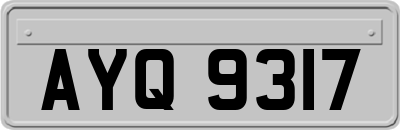 AYQ9317