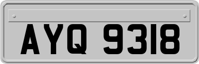 AYQ9318