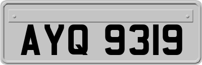 AYQ9319