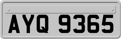 AYQ9365