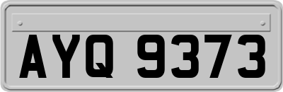AYQ9373