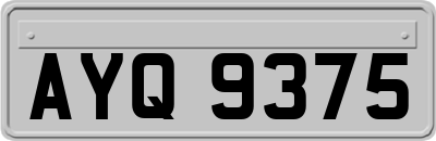 AYQ9375