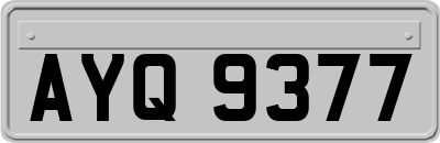 AYQ9377