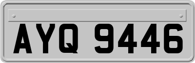 AYQ9446