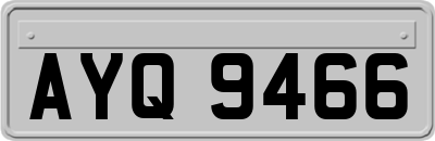 AYQ9466