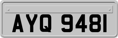AYQ9481