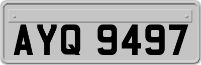 AYQ9497