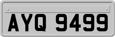 AYQ9499