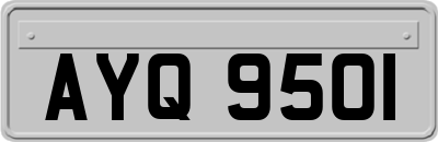 AYQ9501