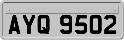 AYQ9502
