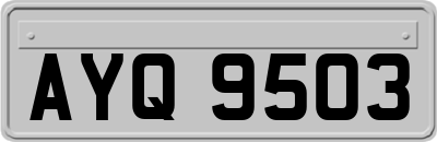 AYQ9503