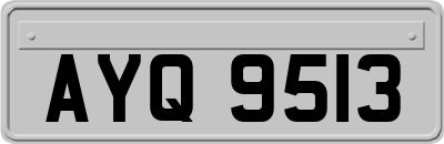 AYQ9513