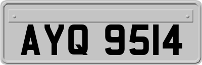 AYQ9514