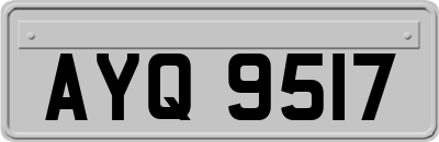 AYQ9517