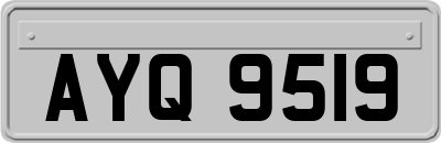 AYQ9519