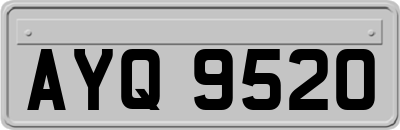 AYQ9520