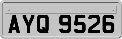AYQ9526