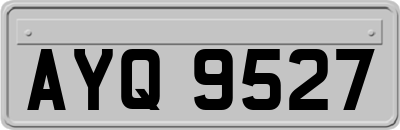 AYQ9527