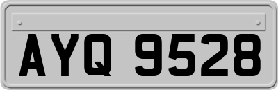 AYQ9528