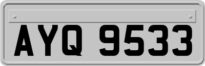 AYQ9533