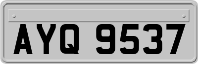 AYQ9537