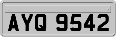 AYQ9542