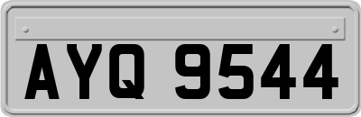 AYQ9544