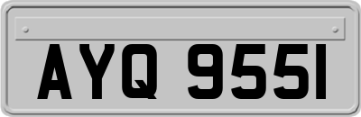 AYQ9551