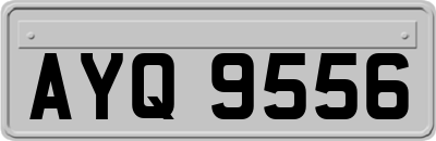 AYQ9556